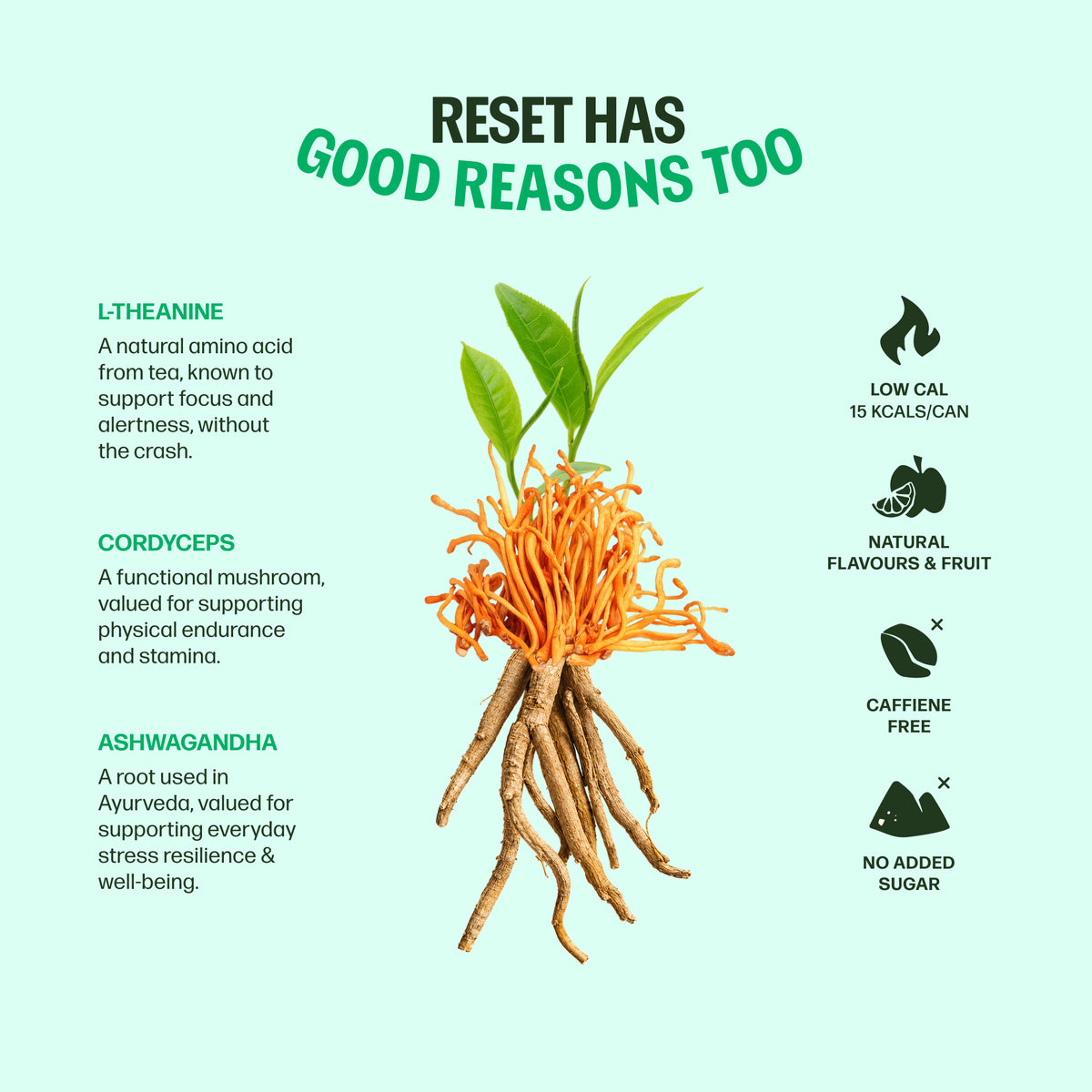 Reset